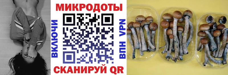 Галлюциногенные грибы Psilocybe  наркошоп  Ахтырский 