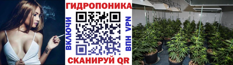 продажа наркотиков  Ахтырский  Марихуана сатива 